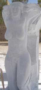 أكثم عبد الحميد